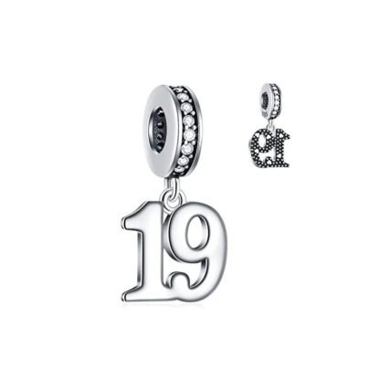 Silver Number 19 Milestone Charm