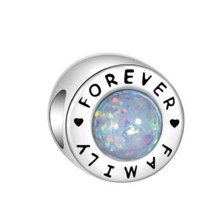Silver Minimal Iridescent Crystal FAMILY FOREVER Charm