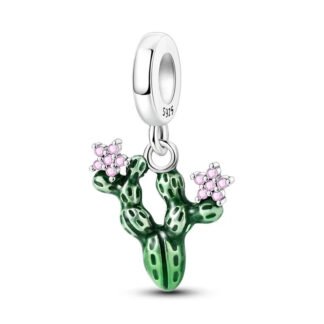 Silver Green Cactus Pinik Blooms Desert Charm